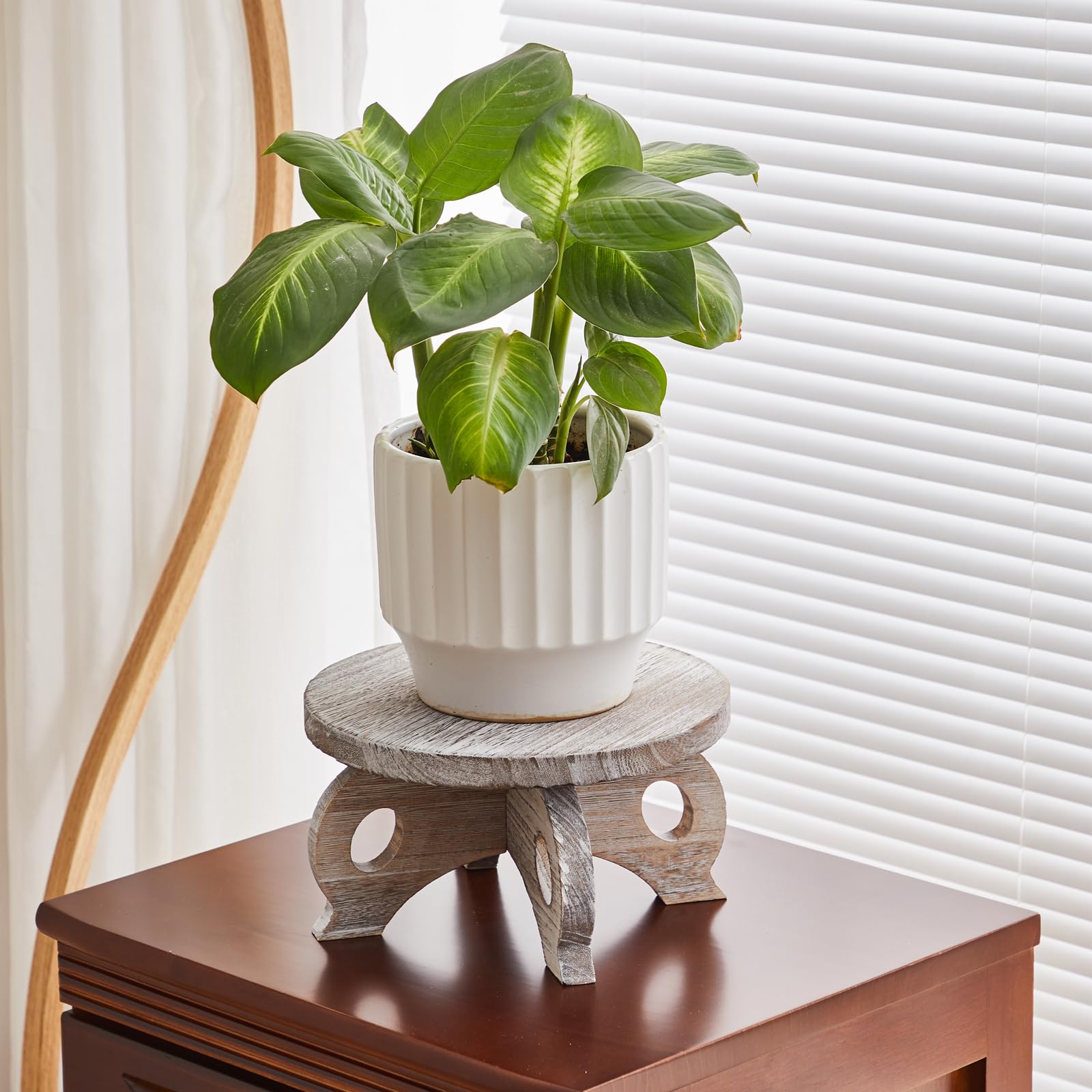 VZODESR plant holder elevates flowers on a stylish round display.