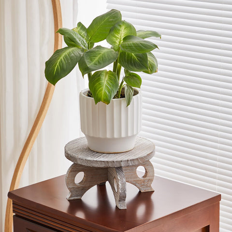 VZODESR plant holder elevates flowers on a stylish round display.