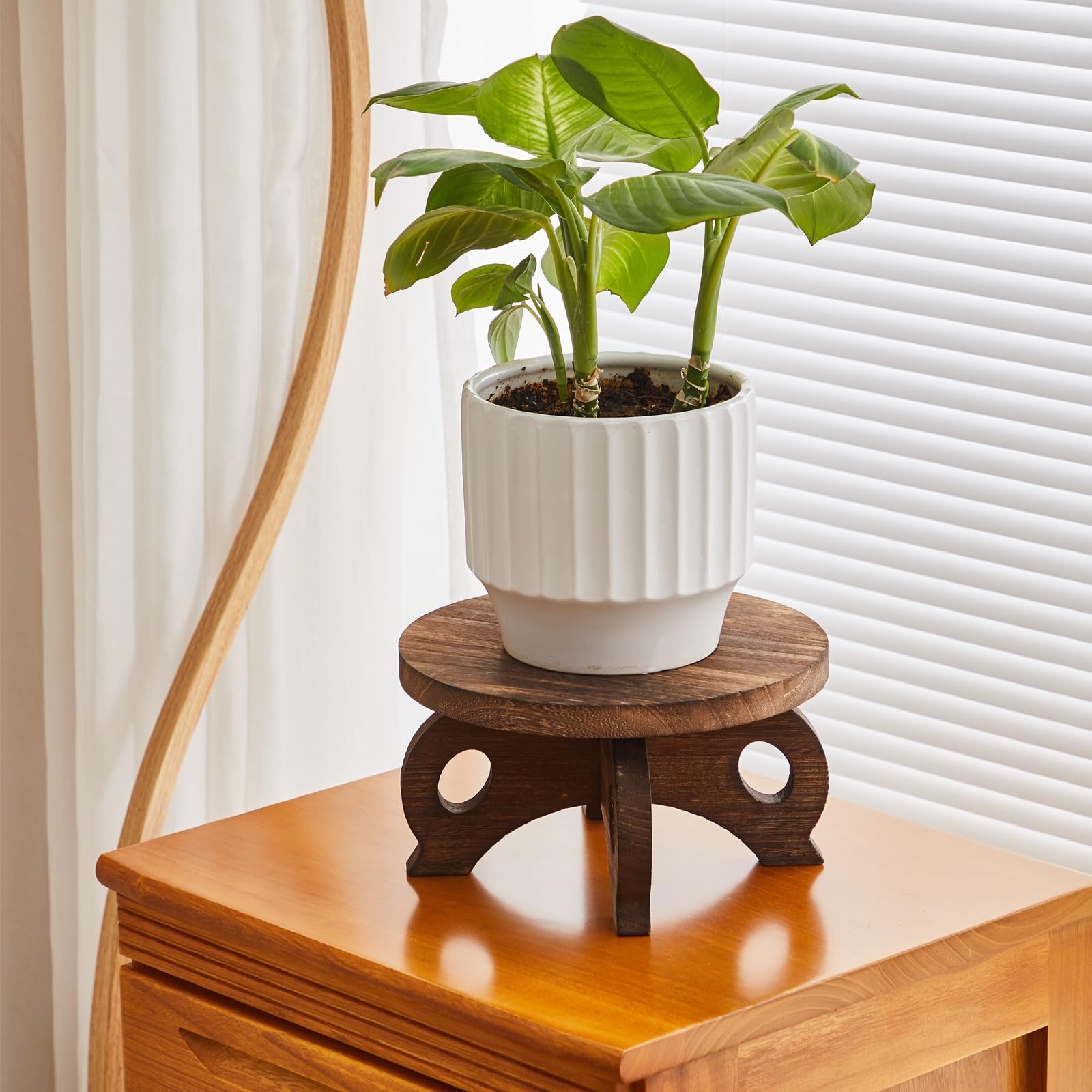 VZODESR flower holder for indoor plants highlights blooms with elevated presentation