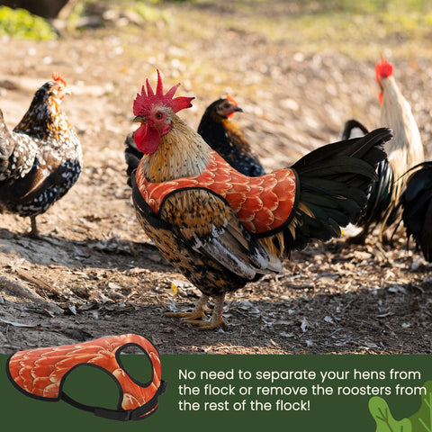 VZZNN 6-pack color options help blend saddles with coop aesthetics.