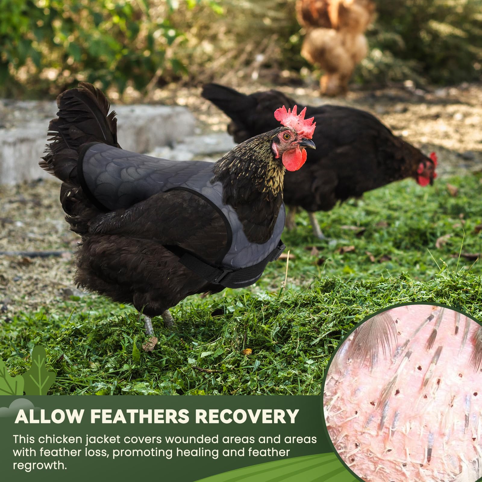 VZZNN wraps around wings for a secure, unobtrusive wear.