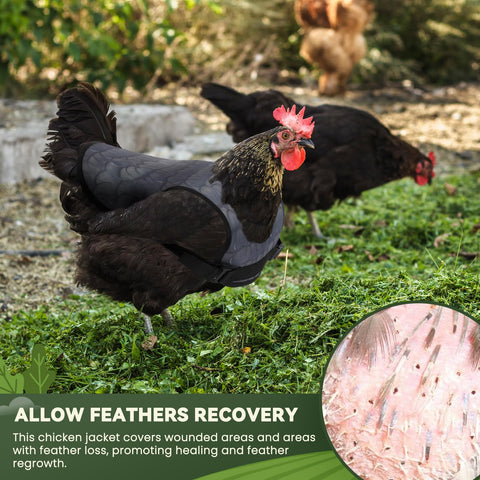 VZZNN wraps around wings for a secure, unobtrusive wear.
