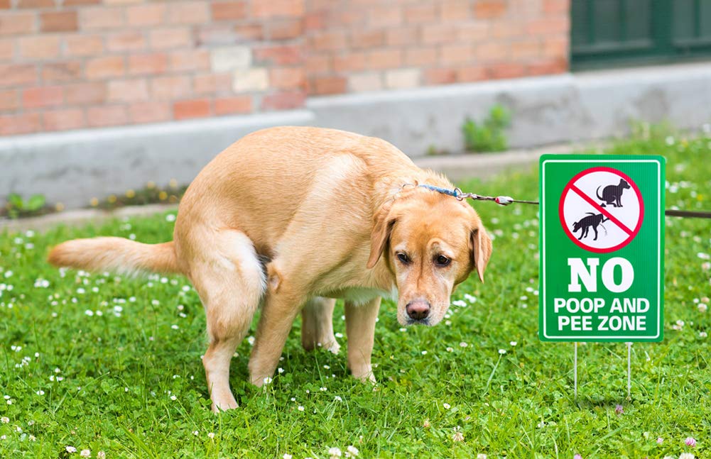 WaaHome No Poop Sign with 12-inch stakes for easy installation.