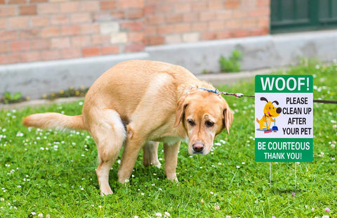 WaaHome waterproof corrugated plastic sign for outdoor durability