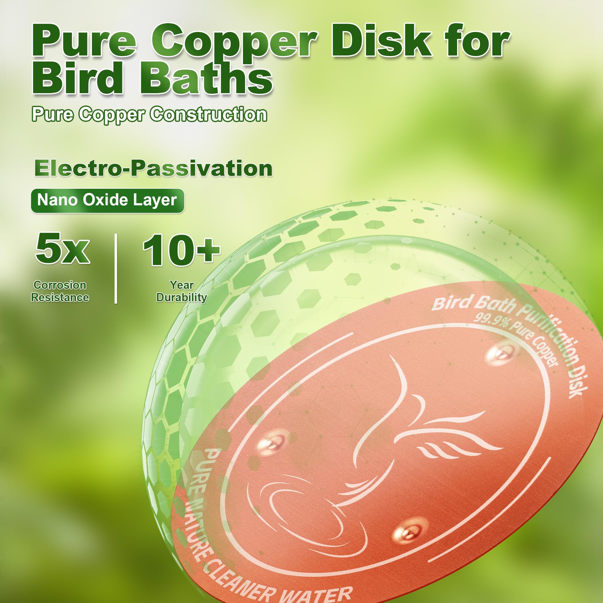 Outdoor bird bath with Wacipek discs on a sunny day.