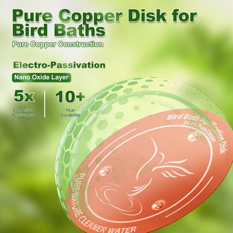 Outdoor bird bath with Wacipek discs on a sunny day.