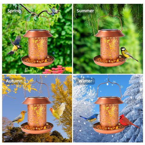 WACLSTDAY hollow lantern design improves seed visibility for birds