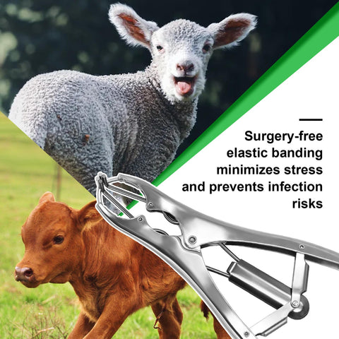 Wadoy goat banding kit easy-clean stainless materials for farm use