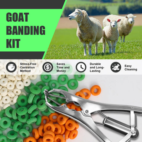 Wadoy goat banding kit expander plier for durable performance