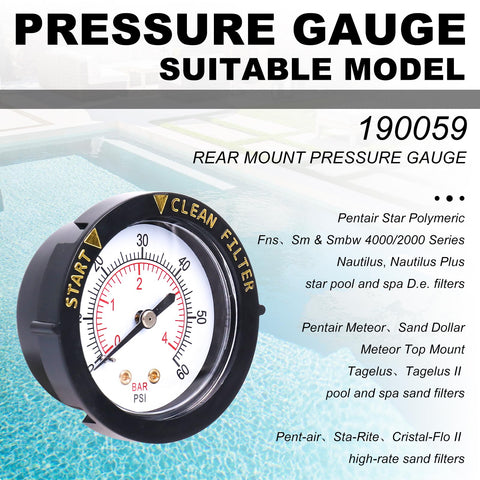 Wadoy rear-mount gauge replacement for select Pentair Triton filters.
