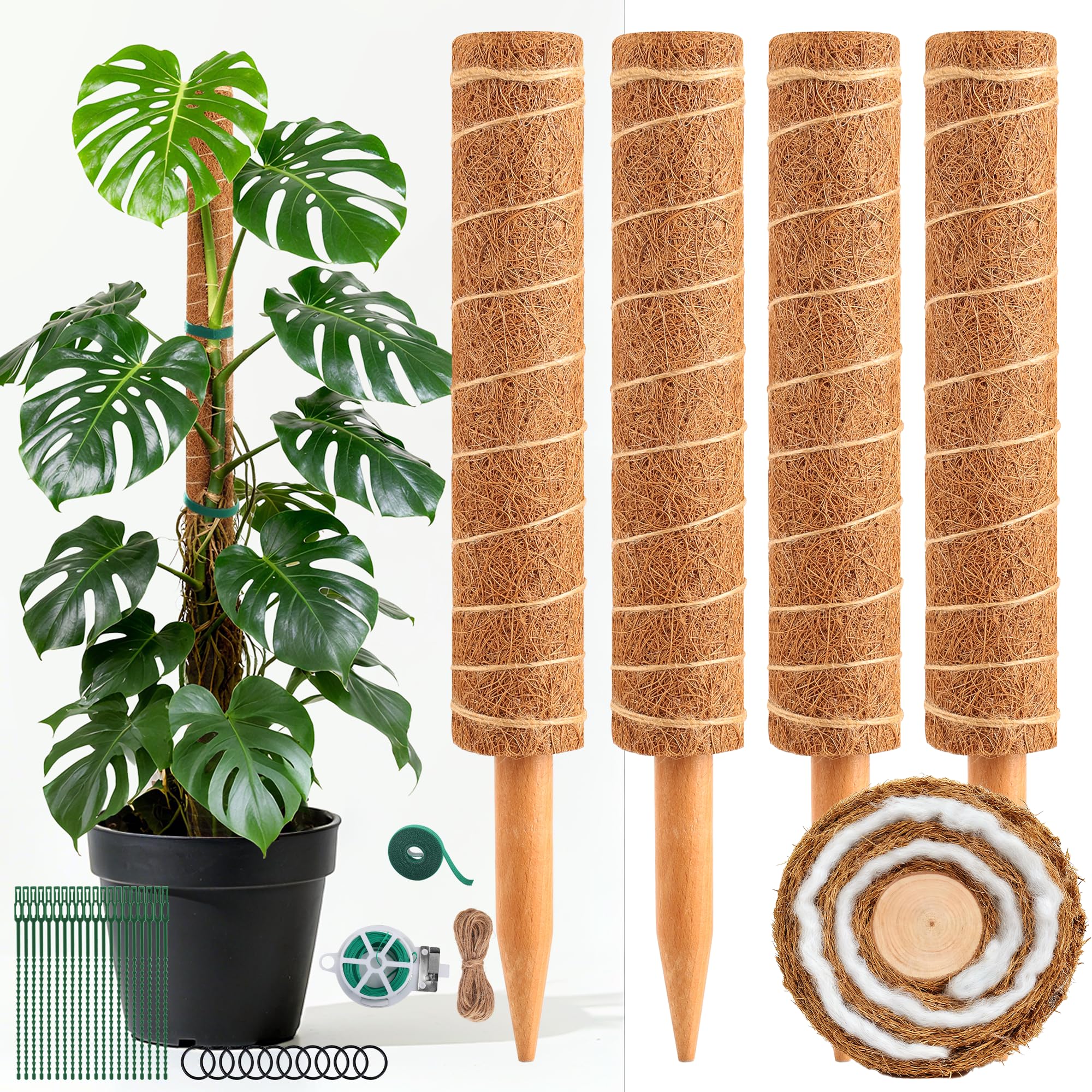 WAENLIR 16-inch moss pole set for four plants supports upright growth.
