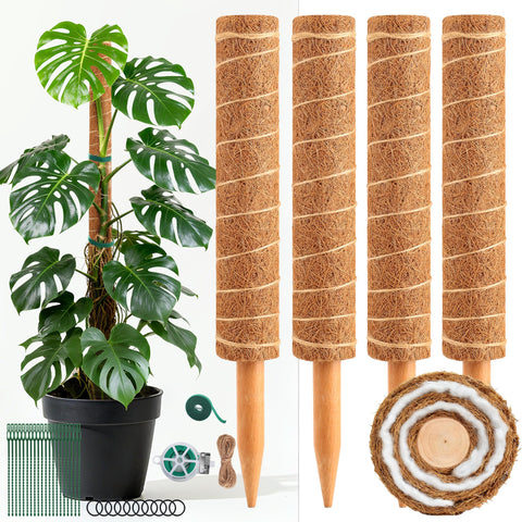 WAENLIR 16-inch moss pole set for four plants supports upright growth.