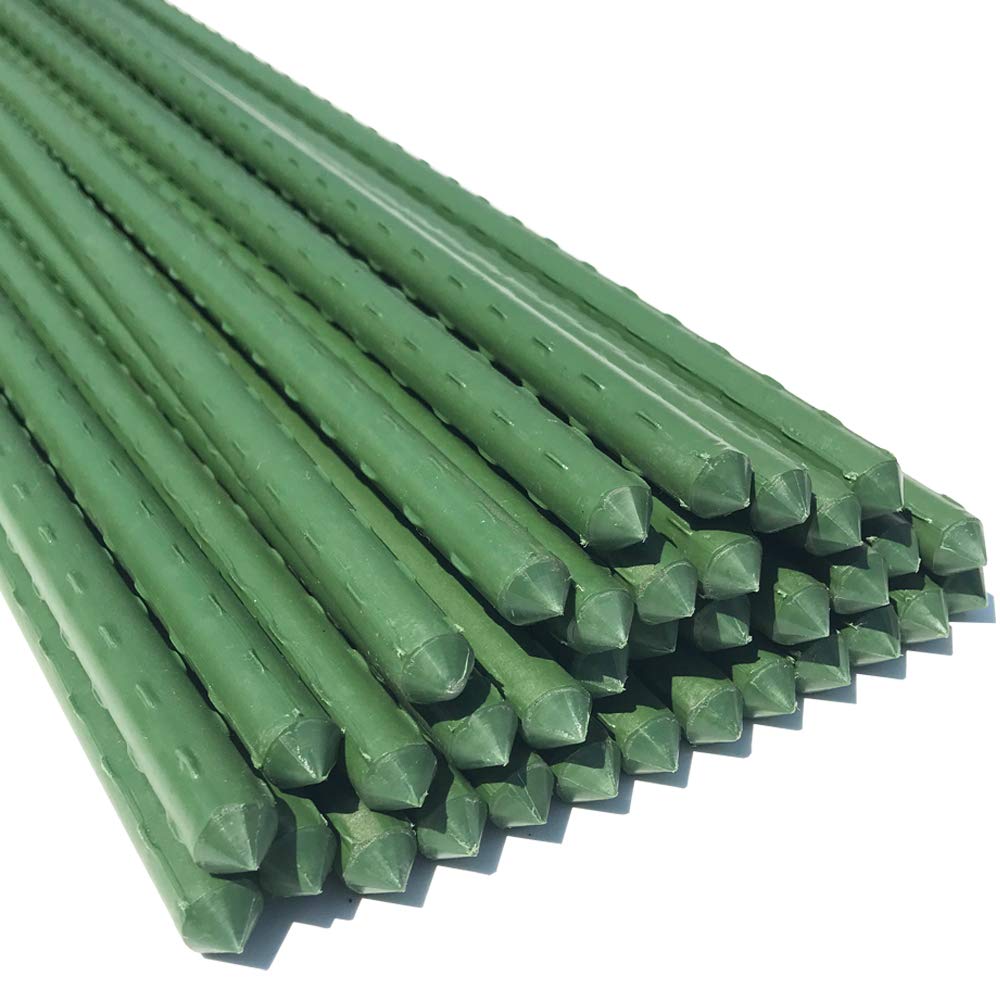 WAENLIR garden stakes 4ft provide sturdy support for outdoor plants.