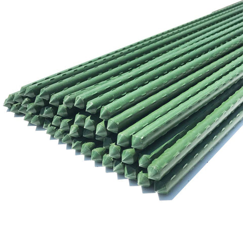 WAENLIR garden stakes 60-inch in use to support tall tomato plants
