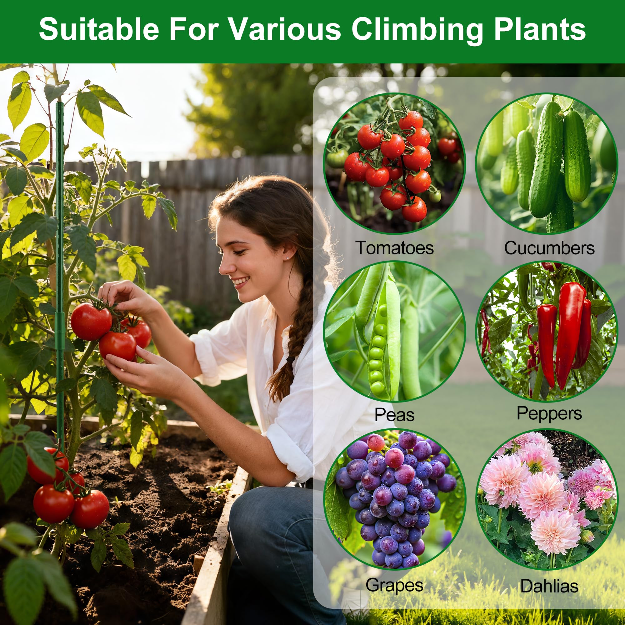 WAENLIR heavy-duty garden stakes in use with climbing vegetables