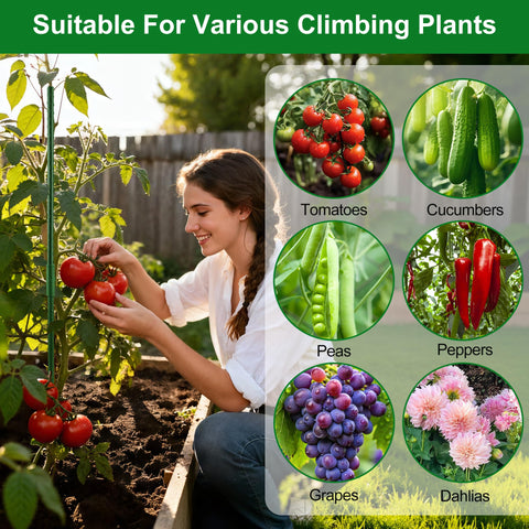 WAENLIR heavy-duty garden stakes in use with climbing vegetables