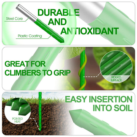 WAENLIR ridged surface helps climbing plants grip and grow.