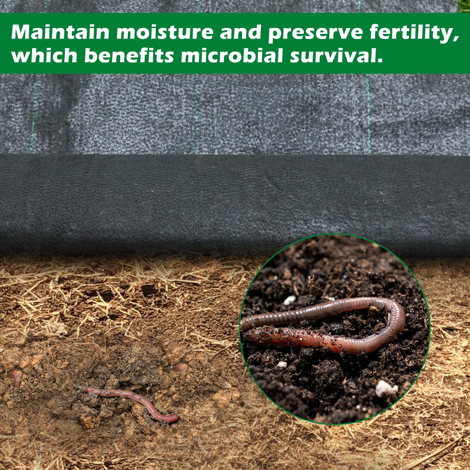WAENLIR striped guide aids precise planting alignment.