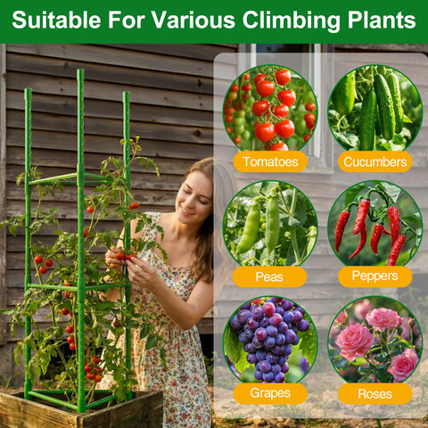 WAENLIR vertical frame helps climbing plants stay upright.