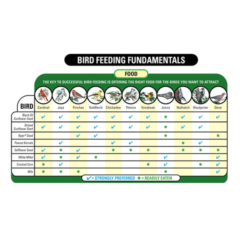 Year-round wild bird feeding option with seasonal appeal.