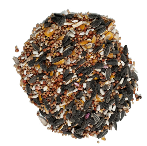 Wagner's Deluxe Treat Blend safflower seeds closeup highlights premium grains for diverse backyard birds.