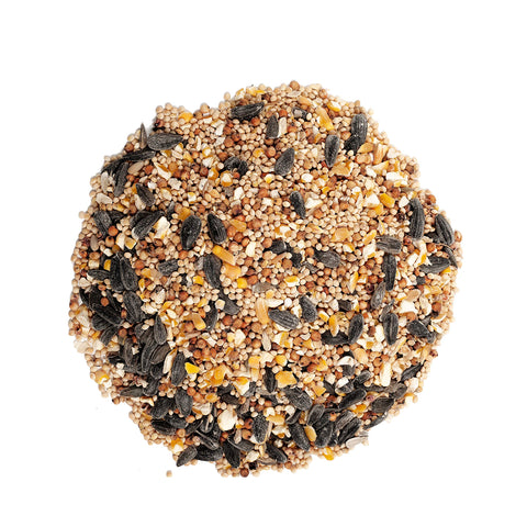 Close-up of sunflower seeds from Wagner's mixed blend.