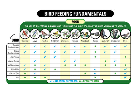 Hopper feeder setup with Wagner's Farmer's Delight for steady bird visits.