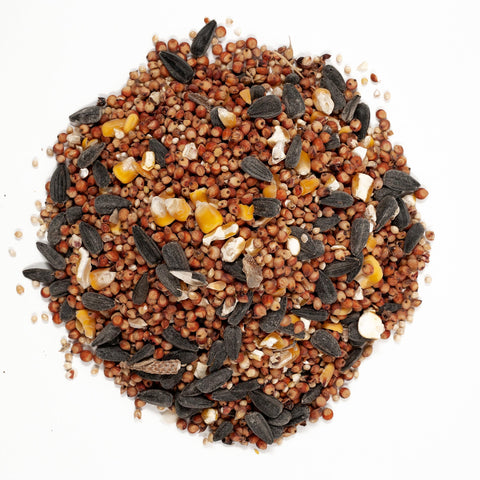 Closeup of seed mix with millet and sunflower used in general feeding.