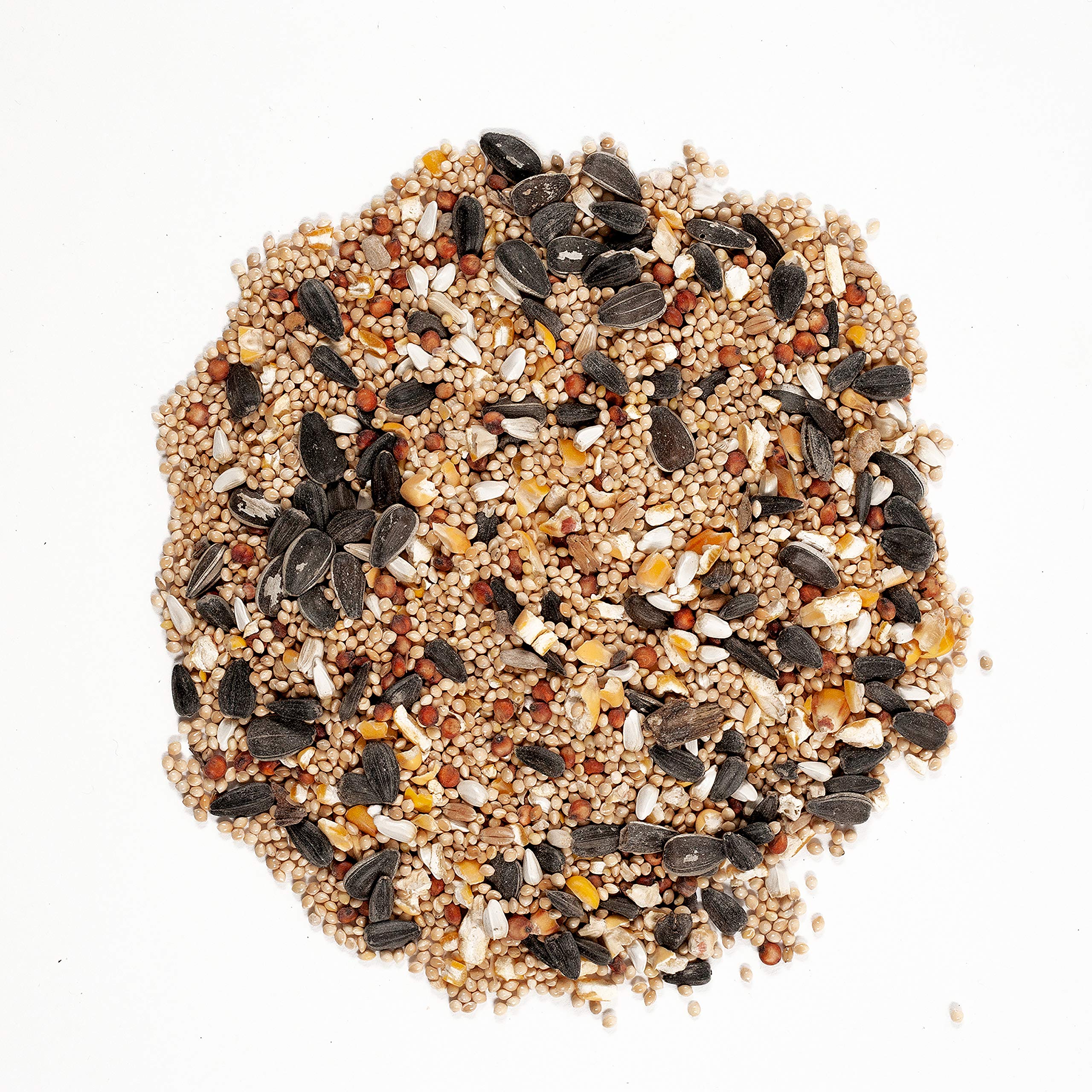 Wagner's Midwest Regional Blend bird visitors cardinals and finches, supporting seasonal backyard diversity.