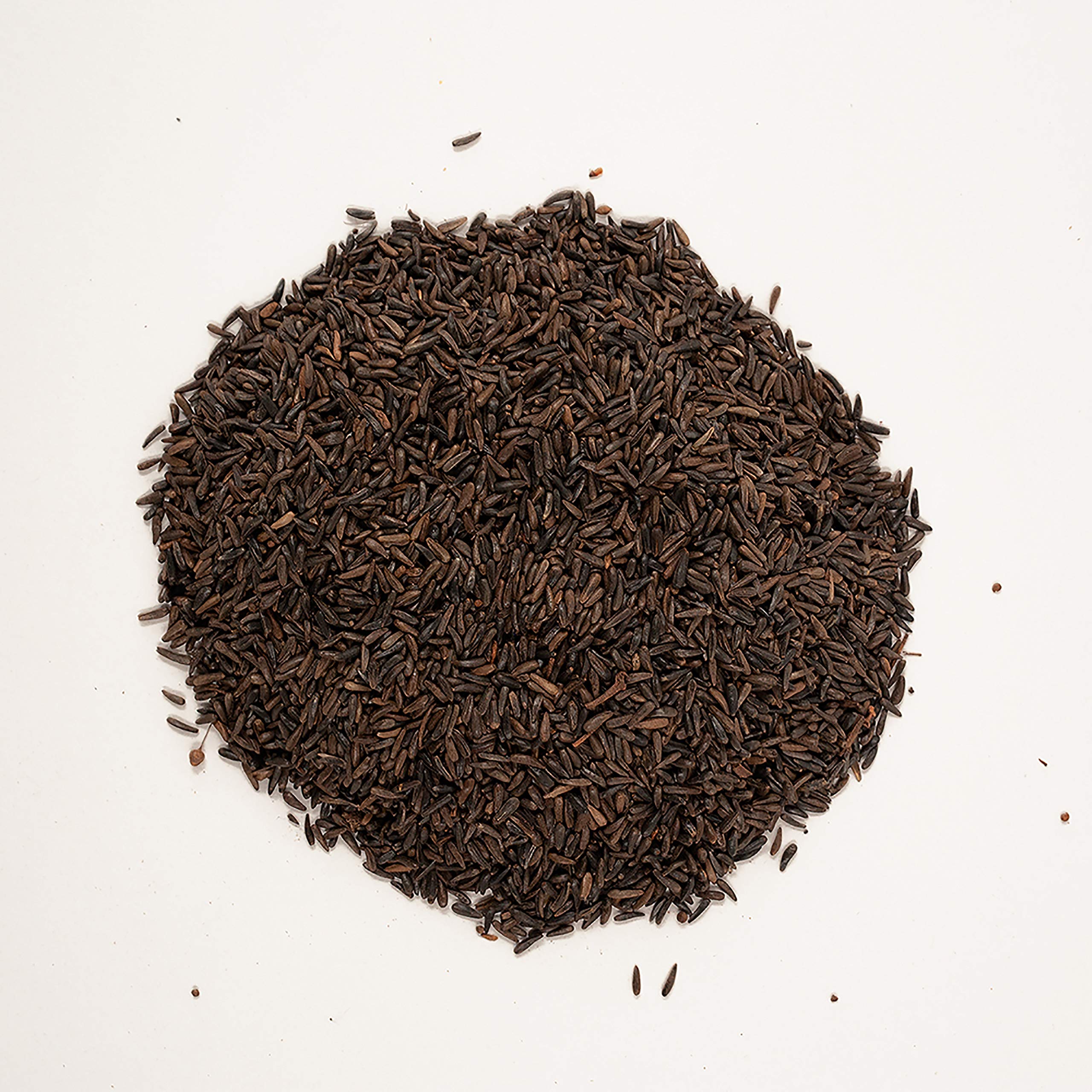 Close-up of Wagner's Nyjer Seed grains delivering high-energy nutrition