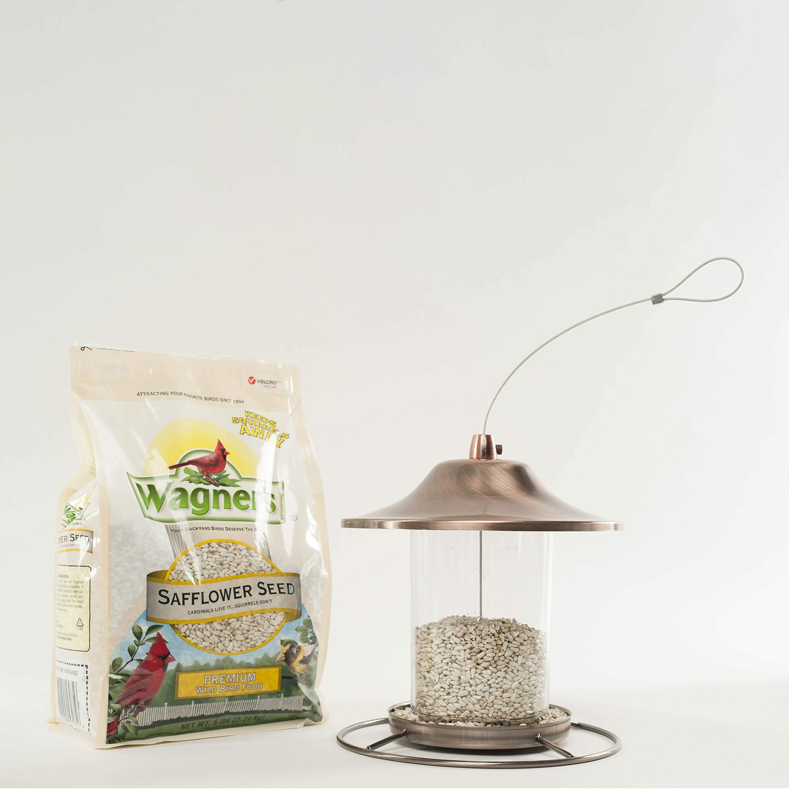 Premium safflower seeds used in gourmet mixes for diverse backyard birds