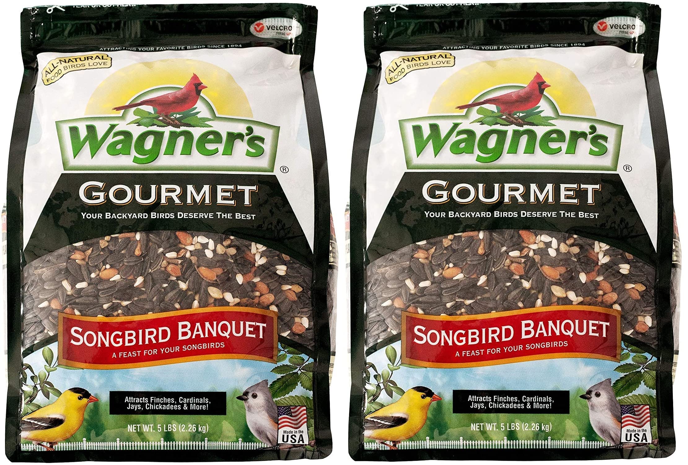 Wagner's Songbird Banquet 5lb bag two-pack at a feeder for year-round feeding.