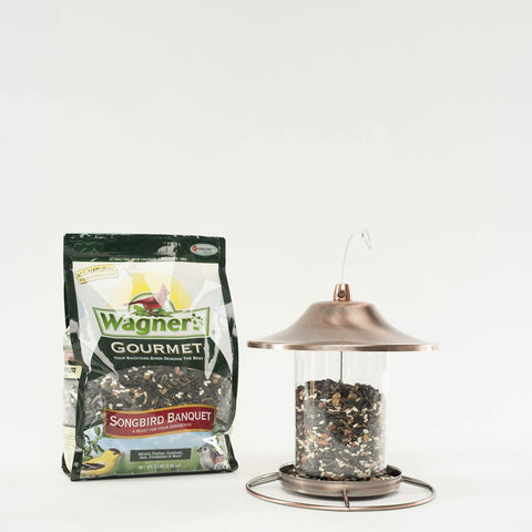 Backyard setup with Wagner's Songbird Banquet during spring feeding.