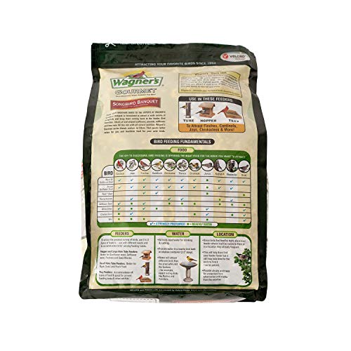 Close-up of Wagner's Songbird Banquet seeds for nutritious backyard feeding.