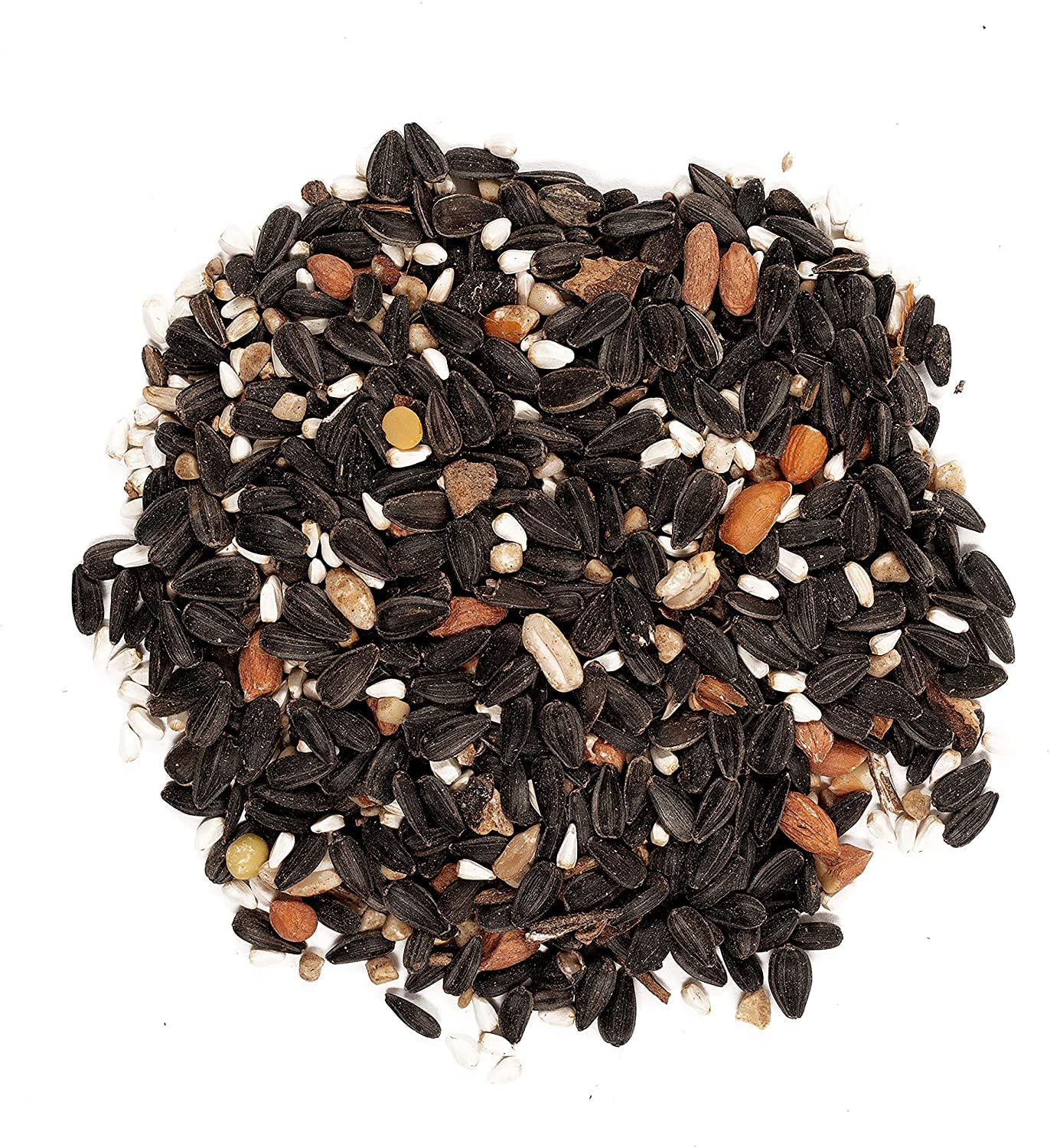Close-up of Wagner's Songbird Banquet seed and nut mix for birds.
