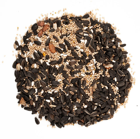 Wagner's Songbird Supreme peanut kernels add energy for busy, active backyard birds.