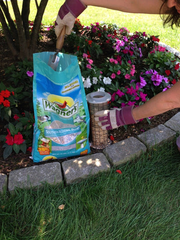 Wagner's Southern Regional Blend at feeder attracts diverse backyard songbirds.