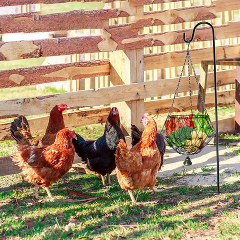 WaiLaDi Package includes feeder, four chains, and shepherd's hook.