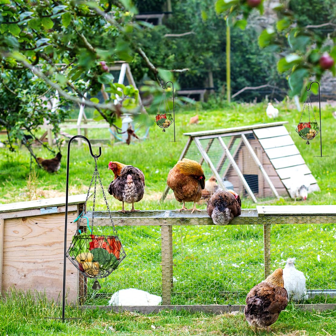 WaiLaDi Warranty offers support for long-term coop peace of mind.