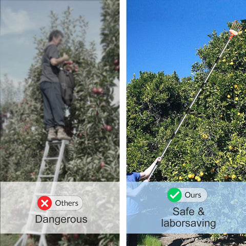 Walensee easy-assembly fruit picker for quick setup without tools.
