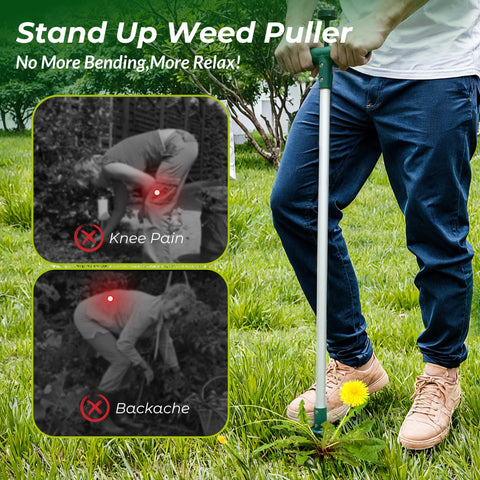 Walensee foot pedal design enabling deeper ground penetration