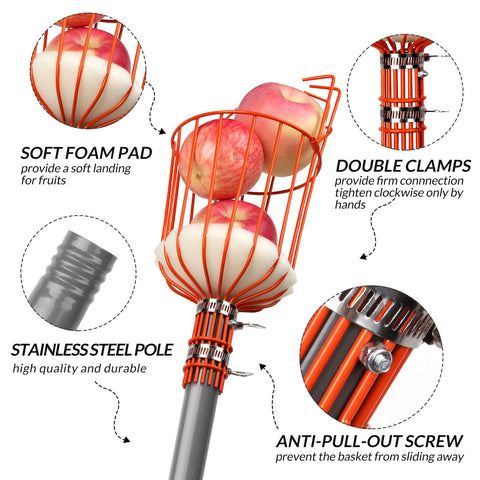 Walensee adjustable-length pole set reaches tall trees safely.