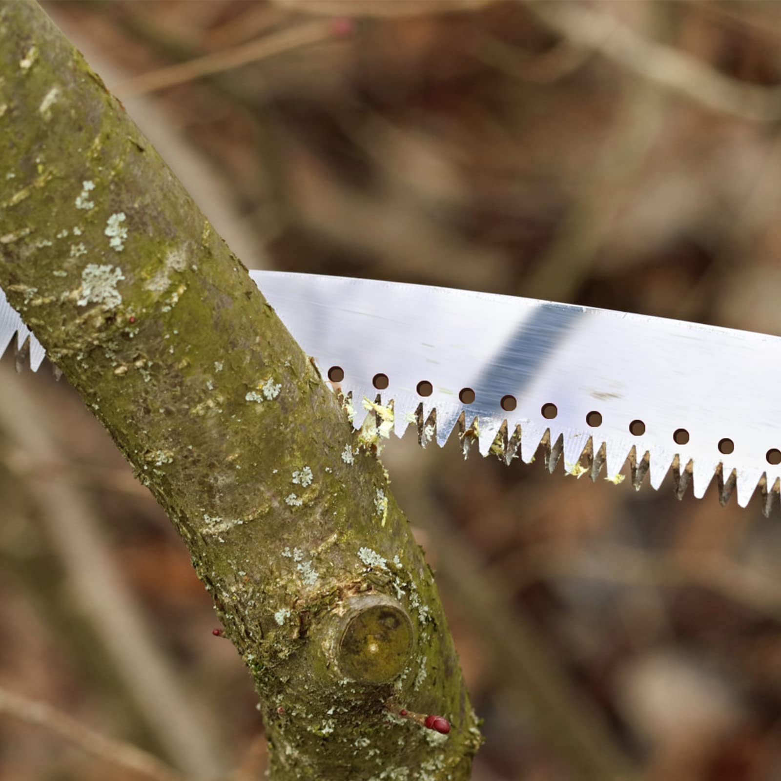 Walensee in-use tree pruning showing practical reach and control