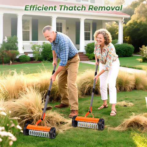 Walensee dethatching rake removes thatch moss leaves and debris.