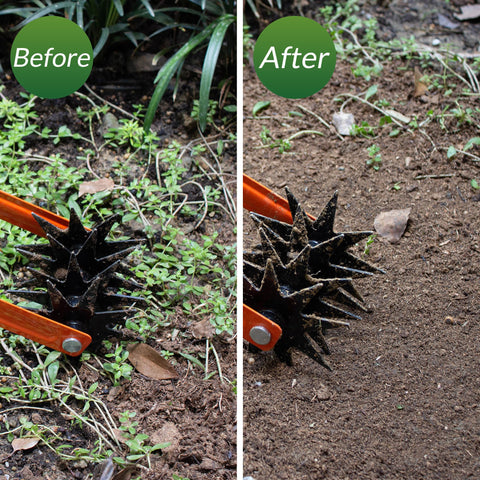 Walensee Easy assembly visual shows quick setup for garden chores