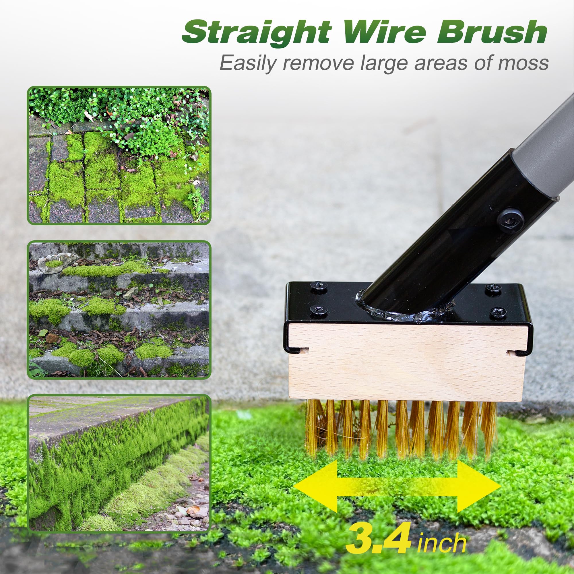 Walensee straight brush targets moss and surface buildup efficiently.