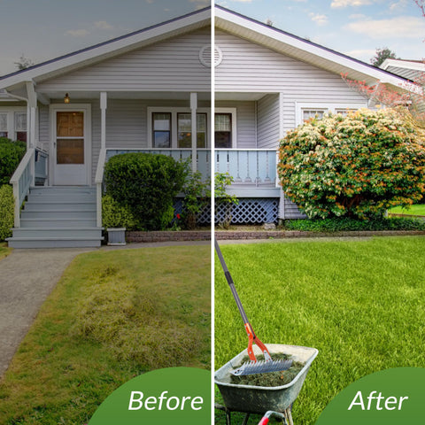 Walensee Thatch Rake helps tidy lawn by removing leaves and debris.