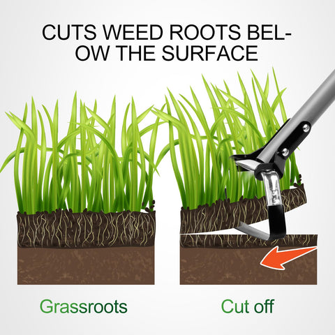 Walensee weed clearing in garden bed with minimal soil disruption