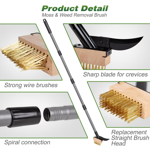 Walensee tool used across sidewalks and driveways for comprehensive cleaning.
