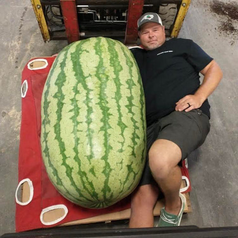 Wallace Organic Wonder used in fertigation with liquids and fertilizers